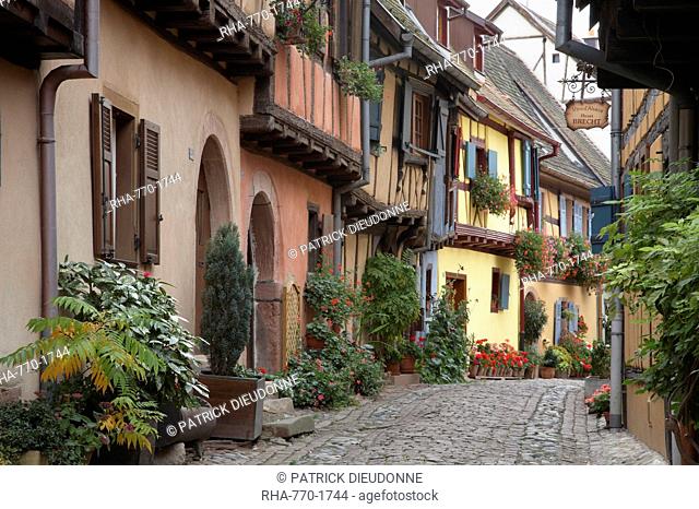 A street with traditional half-timbered houses in the charming village of Eguisheim, Alsatian Wine Road, Haut Rhin, Alsace, France, Europe