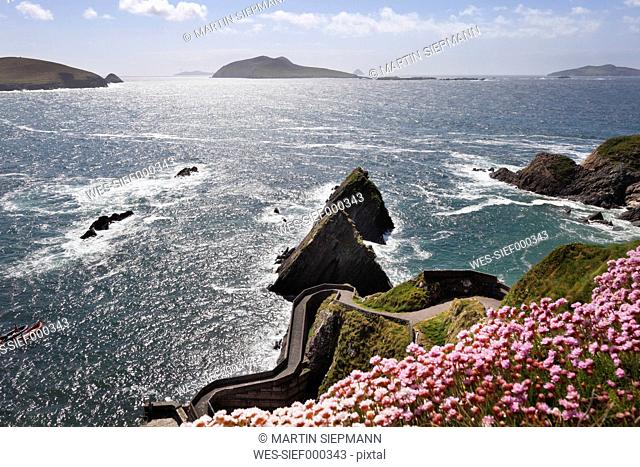 Ireland, County Kerry, Dingle Peninsula, View of dunmore head and blasket islands