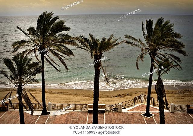 Promenade. Marbella. Malaga province. Spain