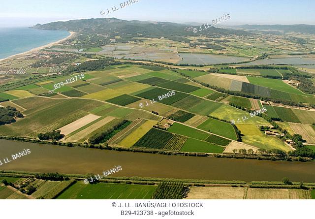 Ter river. Pals ricefields. Girona. Catalunya, Spain