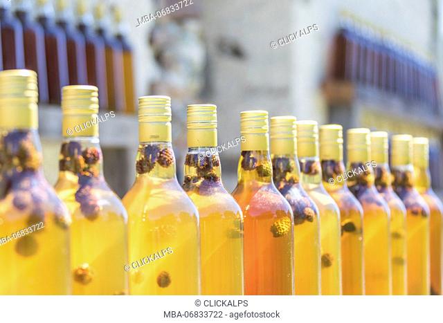 Details of bottles of grappa a typical liquor, San Romerio Alp, Brusio, Canton of Graubünden, Poschiavo valley, Switzerland