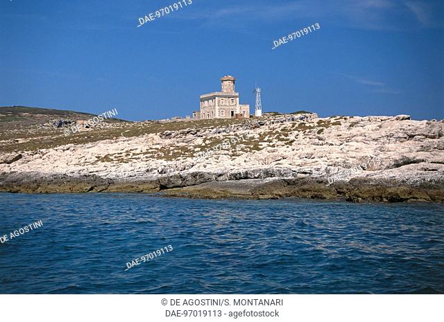 The lighthouse of Caprara or Capraia Island, Tremiti Islands, Gargano National Park, Puglia, Italy