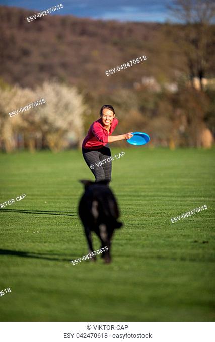 Portrait of a black dog running fast outdoors, playing with frisbee (shallow DOF, sharp focus