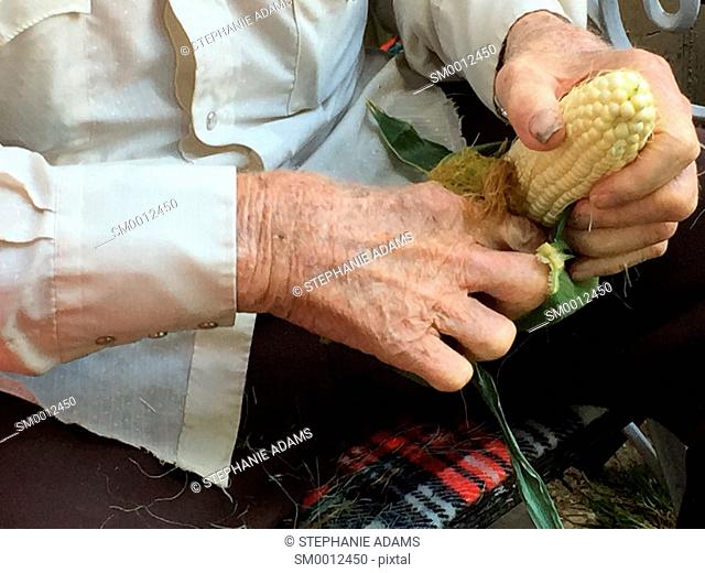 Old Hands Husking Corn
