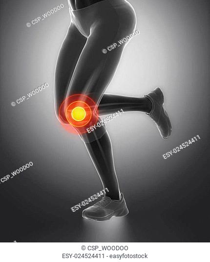 Focused on knee and meniscus in sports injuries
