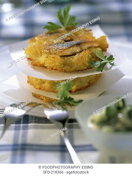 Maties in potato crust with coriander leaves & forks