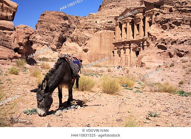 Al Deir, Monastery, Petra, Jordan, animal, Middle East, Oriental, ancient, Old, Petra, Stone, Nabbatea, Nabbatean, red