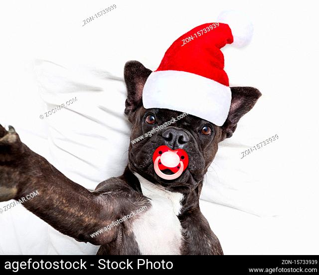 french bulldog santa claus dog taking a selfie in bed at christmas holidays with pacifier wearing a red hat