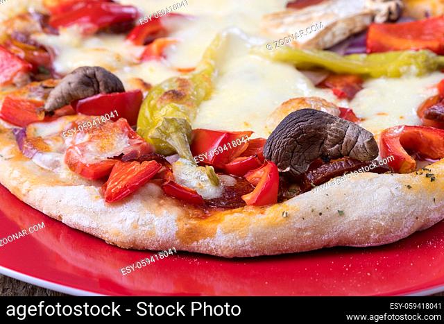 closeup of a a pizza on a plate