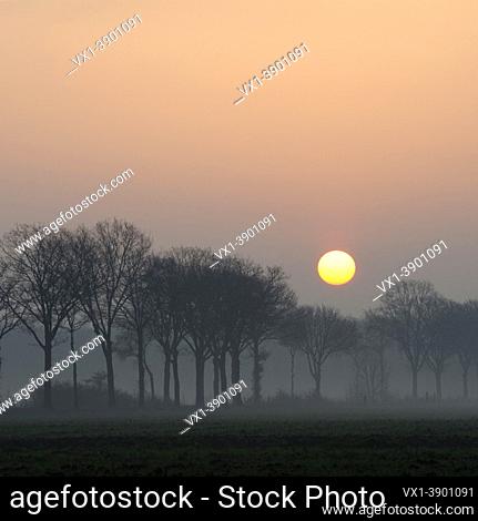 Atmospheric Sunrise above a small rural avenue on a hazy morning somewhere in Germany