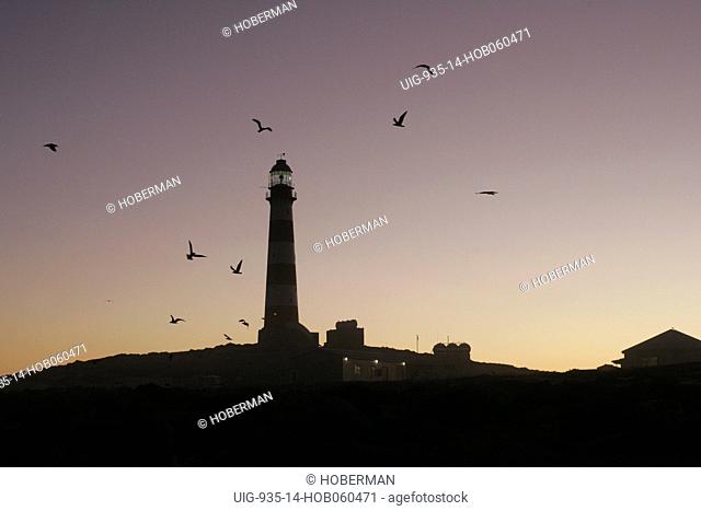 Dassen Island Lighthouse, Cape Town, South Africa