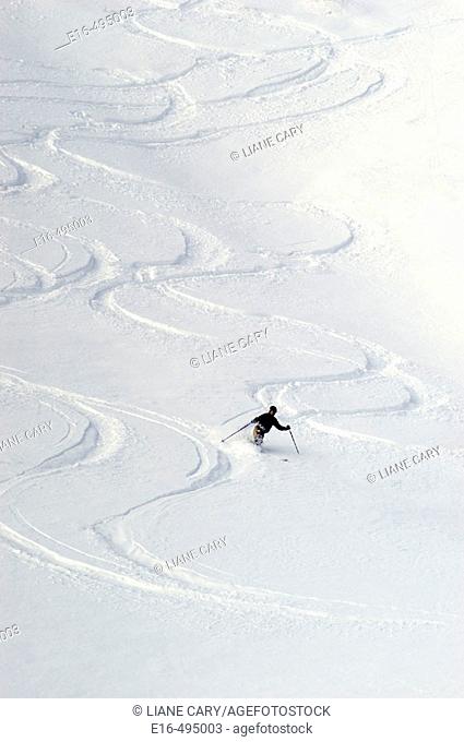 Skiier, California. USA