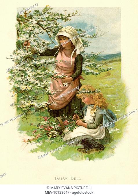 Two girls in a meadow, picking wild flowers