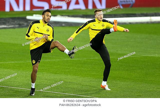Dortmund's Pierre-Emerick Aubameyang (L) and Marco Reus warm up during a training session prior to the UEFA Champions League group phase soccer match between...