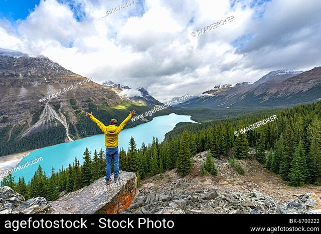 Hiker stretches his arms in the air, view of turquoise glacial lake surrounded by forest, Peyto Lake, Rocky Mountains, Banff National Park, Alberta Province