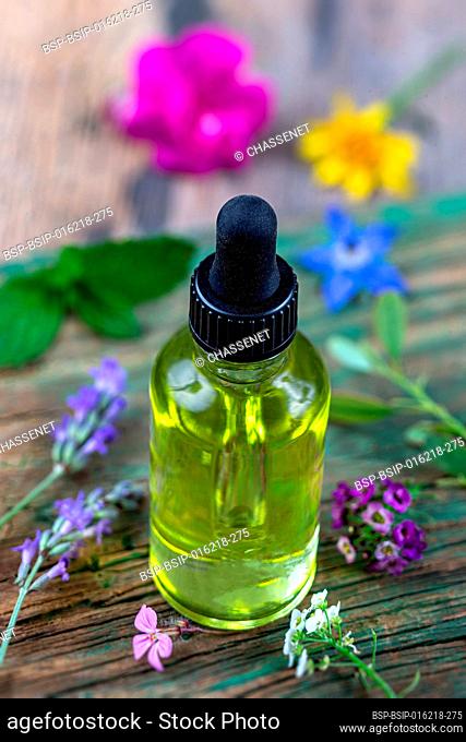 Close up of an essential oil bottle surrounded by medicinal plants