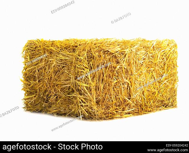 yellow dry barley straw isolated on white background