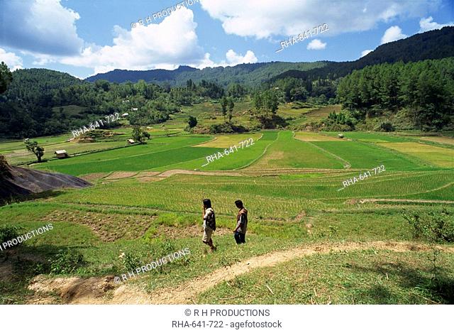 Agricultural landscape with two figures walking through fields, Toraja area, island of Sulawesi, Indonesia, Southeast Asia, Asia