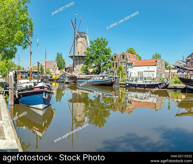 Ancient ships at the Museum-port, windmill called De Roode Leeuw, Gouda, Zuid-Holland, Netherlands, windmill, city, village, water, trees, summer, ships, boat