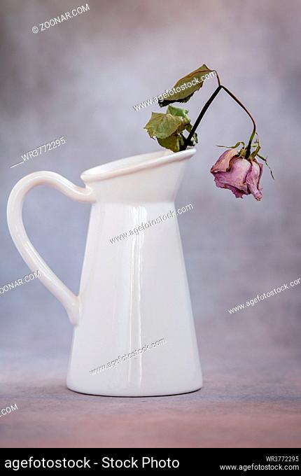 Dry wilted rose flowers on a white vase against a vintage background