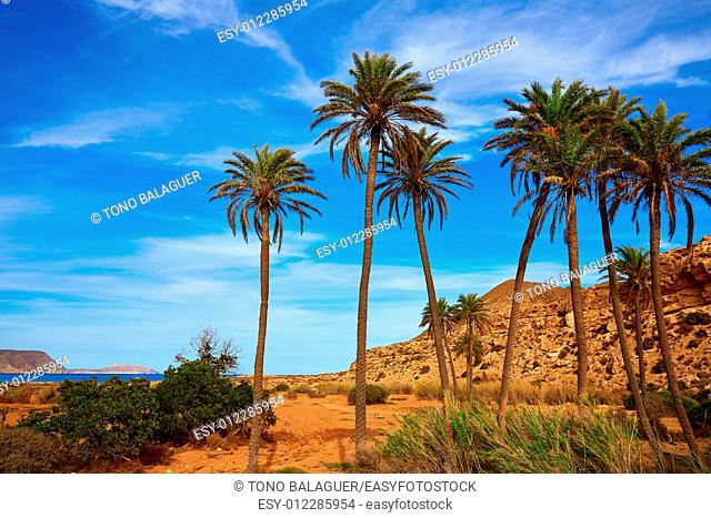 Almeria in Cabo de Gata Playazo Rodalquilar beach at Mediterranean Spain