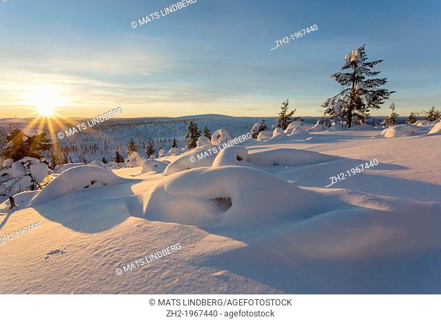 Winter landscape on mount Hirvas in February in direct light in afternoon sunlight in Gällivare, swedish lapland