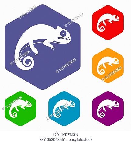 Chameleon icons set rhombus in different colors isolated on white background