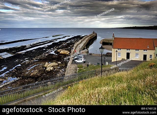 Coast, Harbour, Pier, Harbour wall, Low tide, House, St Andrews, Fife, Midlands, Central Scotland, Scotland, United Kingdom, Europe