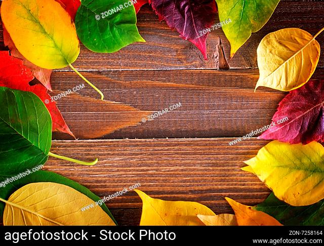 autumn leaves on the wooden background, yellow leaves and wooden boards