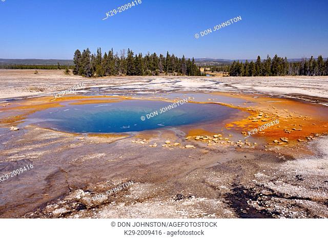 Opal Pool in the Midway Geyser Basin, Yellowstone NP, Wyoming, USA