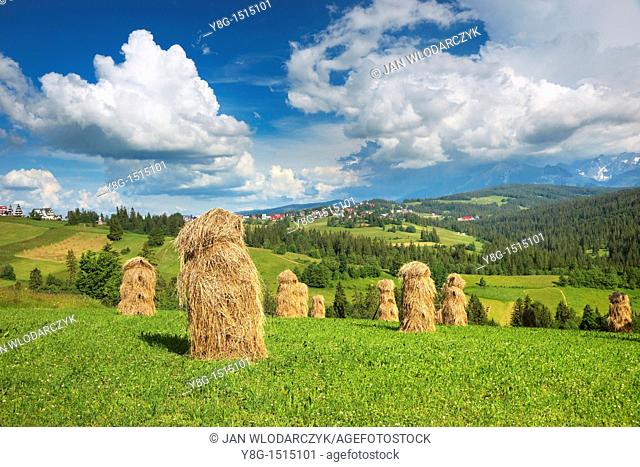 Landscape near Gliczarow village, 10km from Zakopane (Tatra Mountains Region) and 14km from Lysa Polana (border with Slovakia)