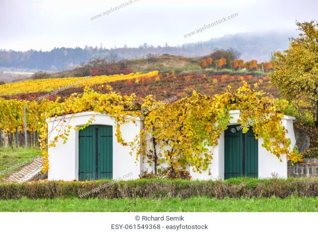 old cellars and autumn vineyards near Retz, Lower Austria, Austria