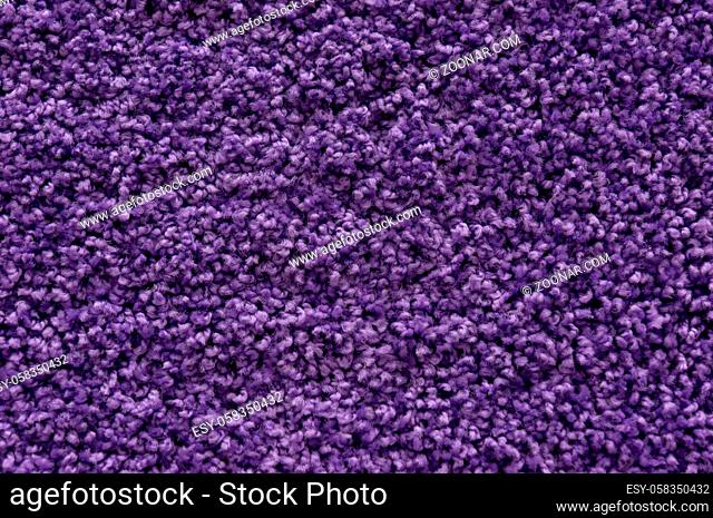 Ultra violet or purple carpet texture backdrop. Warm wool colored cloth with sheep curled nap