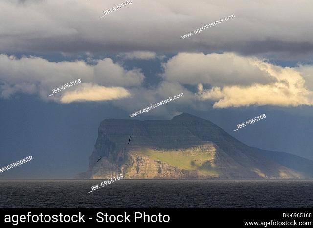 Cape Enniberg, at 754 metres one of the highest vertical cliffs in the world, Viðoy, Djúpini, Norðuroyggjar, Faroe Islands, Denmark, Europe