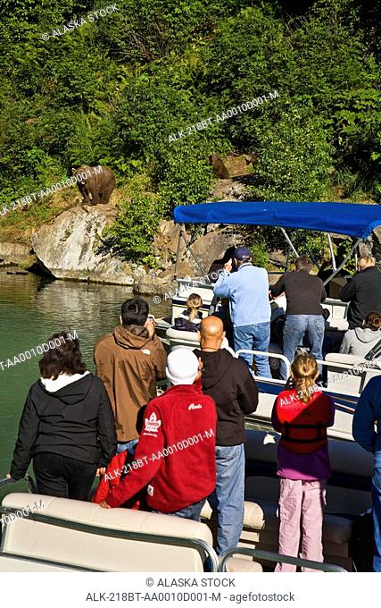 Guests of Redoubt Bay Lodge view Grizzly bears from pontoon boat in Wolverine Cove on Big River Lakes in Redoubt Bay State Critical Habitat Area, Southcentral