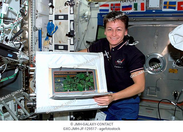 Astronaut Peggy A. Whitson, Expedition Five NASA ISS science officer, holds the Advanced Astroculture soybean plant growth experiment in the Destiny laboratory...