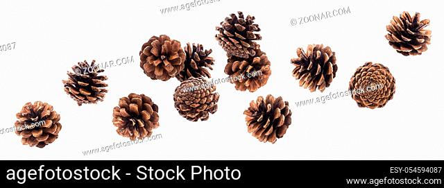 Falling pinecones. Fir cones isolated on white background with clipping path, collection