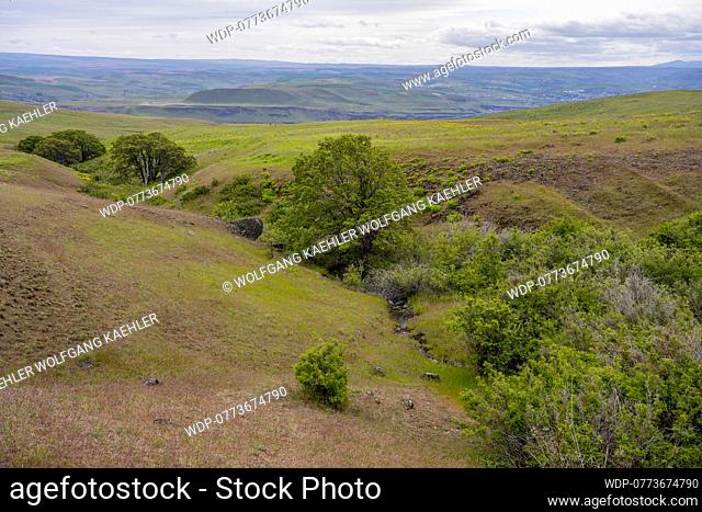 View of a gulch from the Dalles Mountain Road near Lyle, Washington, USA., Credit:Wolfgang Kaehler; Wolfgang Kaehler / Avalon
