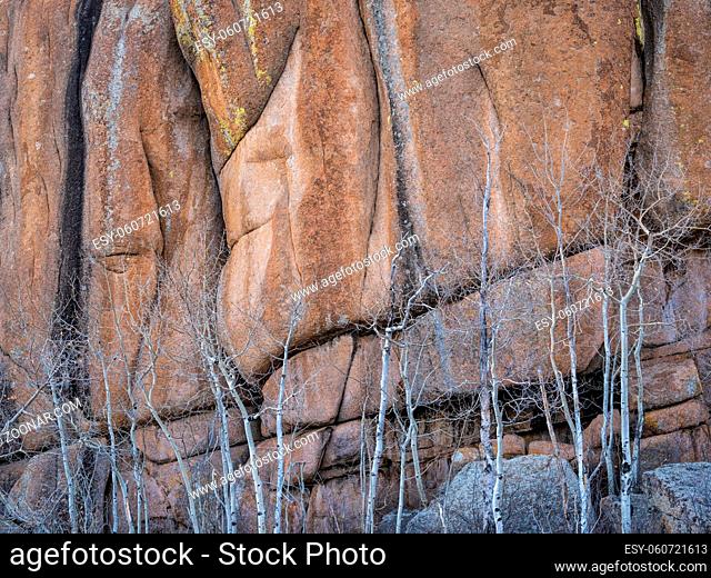 aspen and granite rock formation in Vedauwoo Recreation Area, Wyoming, known to the Arapaho Indians as Land of the Earthborn Spirit, winter scenery