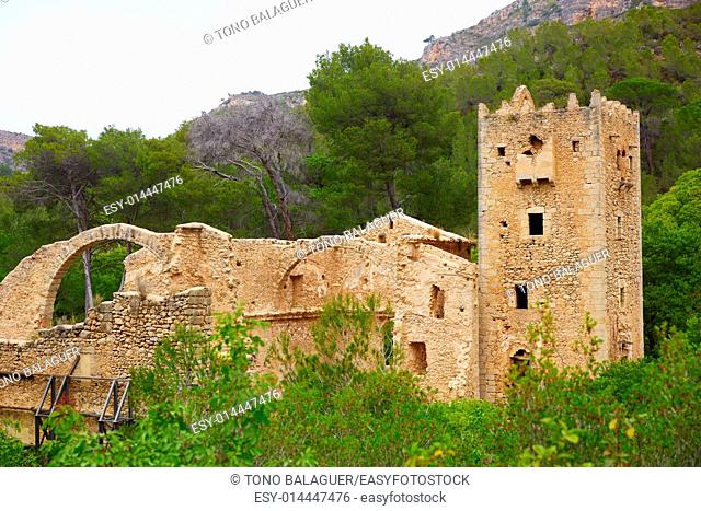 ruined monastery Jeronimo Nuestra senyora de la Murta in Alzira Valencia at Spain