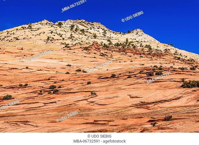 The USA, Utah, Washington county, Springdale, Zion National Park, part of town, scenery at the Zion - Mount Carmel Highway