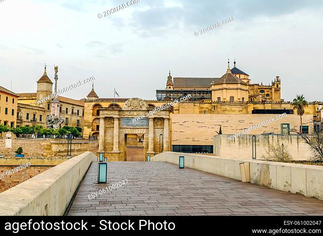 View of Mosque Cathedral of Cordoba from Roman Bridge, Spain