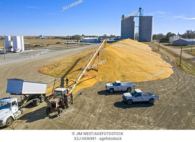 Daykin, Nebraska - Corn is stored temporarily on the ground outside a grain elevator