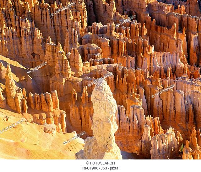Bryce Canyon National Park, Southern Utah