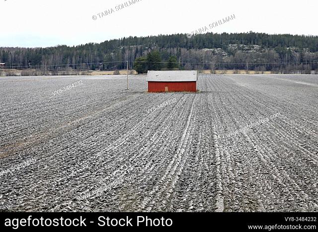 Red wooden barn in a lightly snow-covered field on an overcast day of winter. Sauvo, Finland. December 26, 2019