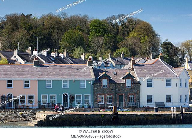 UK, Northern Ireland, County Down, Strangford, houses