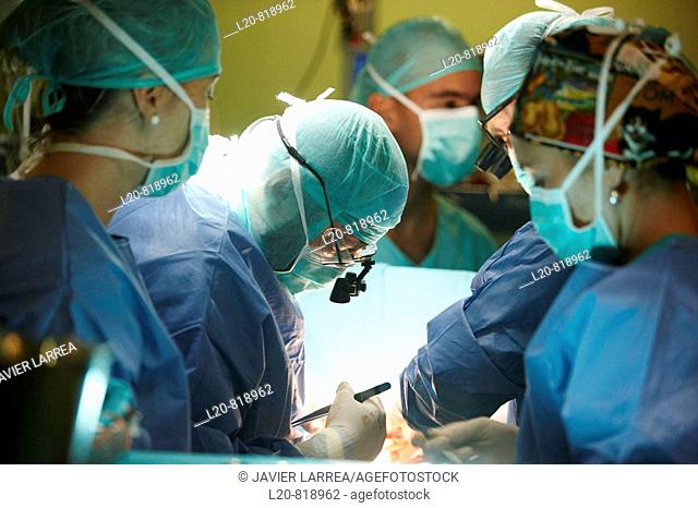 Aortic valve replacement, cardiac surgery, operation room. Hospital Universitario de Gran Canaria Doctor Negrin, Las Palmas de Gran Canaria