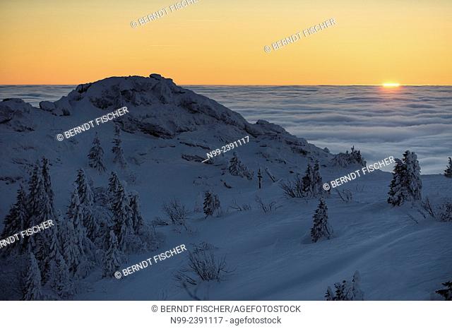 Summit of Great Arber, highest summit of the Bayerischer Wald, snow-packed spruces and rocks, sunset in the sea of fog, Bavaria, Germany