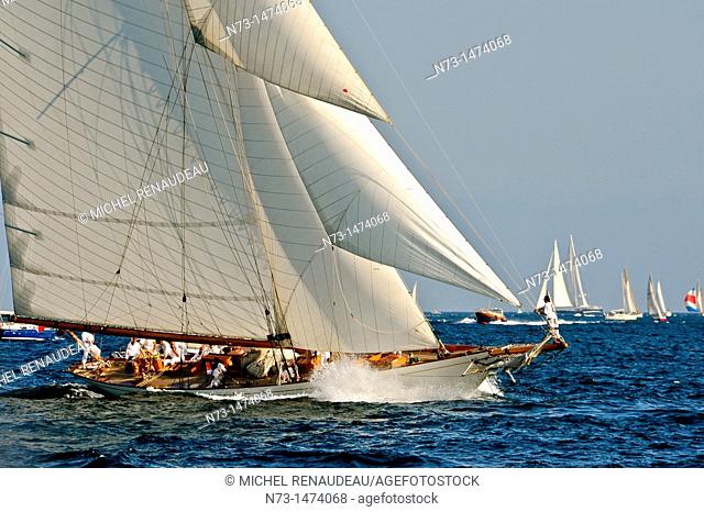 France, Var 83, Saint-Tropez, Les Voiles de Saint-Tropez meet every year in late September of beautiful classic yachts competing in regattas