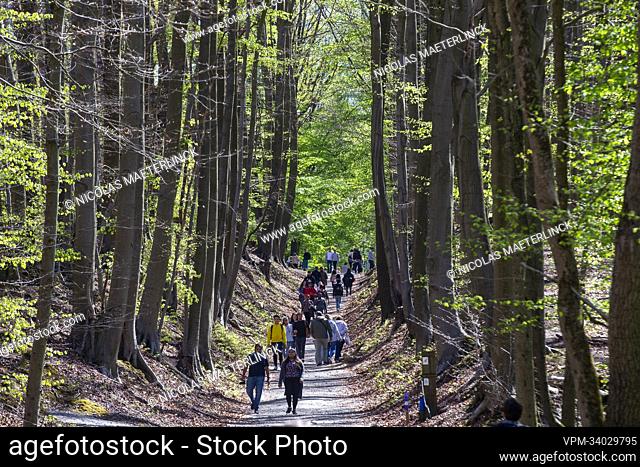 Illustration picture shows lots of people walking in the Hallerbos in Halle, renowned for it's bluebells, Sunday 17 April 2022